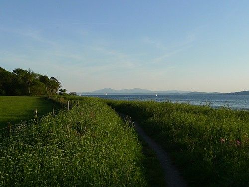 Summer path by the shore - 1