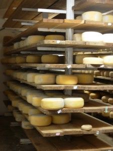 A Cheese Story