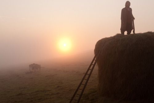 “Anna Karenina” and the Enchantment of the Ordinary