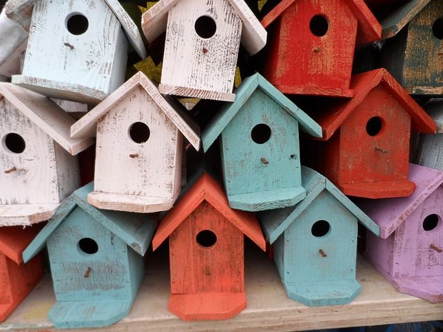 A House for Birds