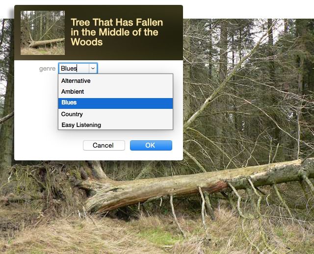 If a Tree Falls