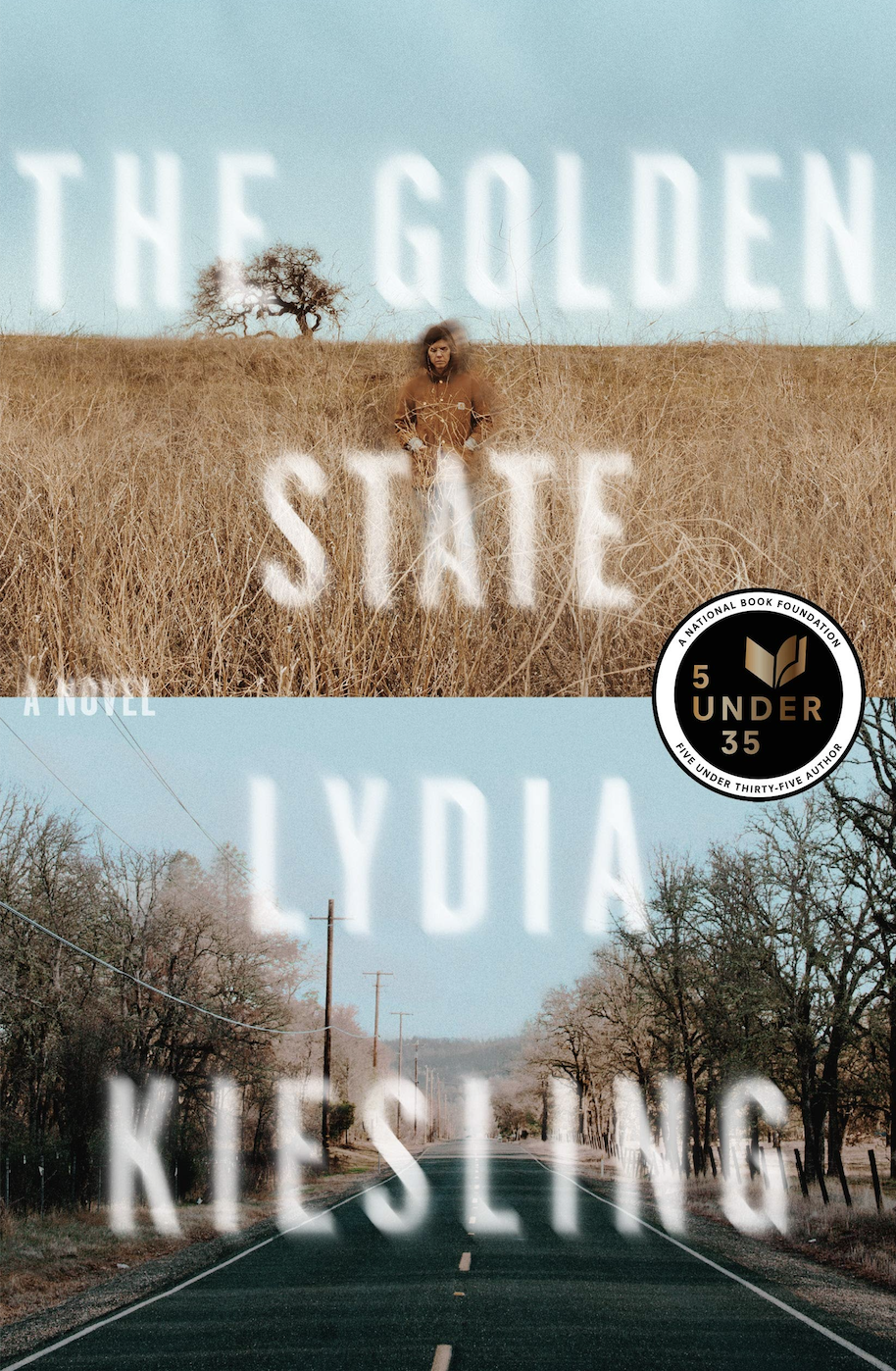 Forgive the Defacer: On Writing into Lydia Kiesling’s The Golden State