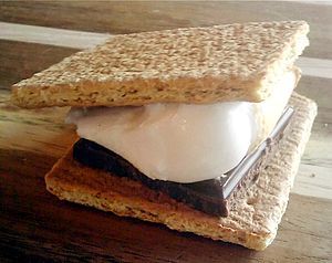 A picture of a Smores treat.