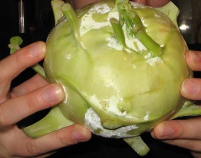 Kohlrabi