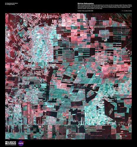 "Bolivian Deforestation" Credit: U.S. Geological Survey  Department of the Interior/USGS http://eros.usgs.gov/imagegallery/earth-art#5