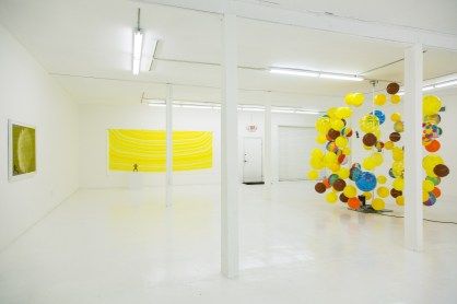 Installation view, The Western Code, Gallery Diet, Miami, Florida, January 2015. Courtesy of Gallery Diet, Miami, Florida.